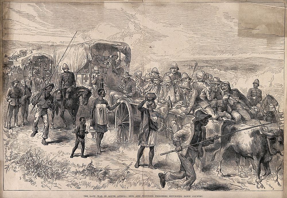 Boer War: sick and wounded soldiers returning down country. Wood engraving.