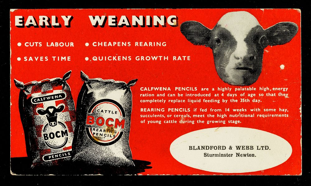 Early weaning : cuts labour : cheapens rearing : saves time : quickens growth rate... / Blandford & Webb Ltd.