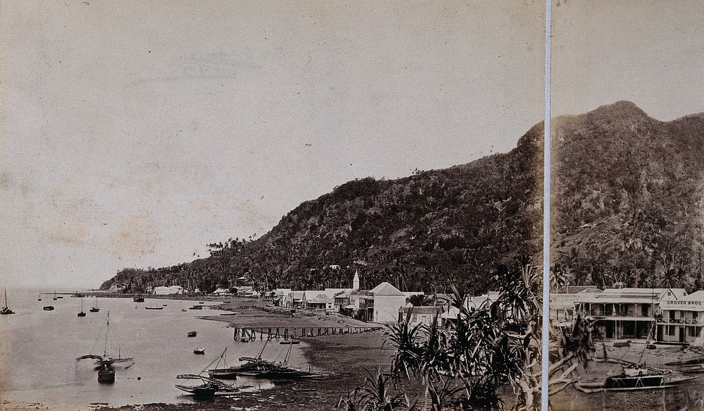 Levuka, Fiji: panoramic view: section one. Photograph, ca. 1880.