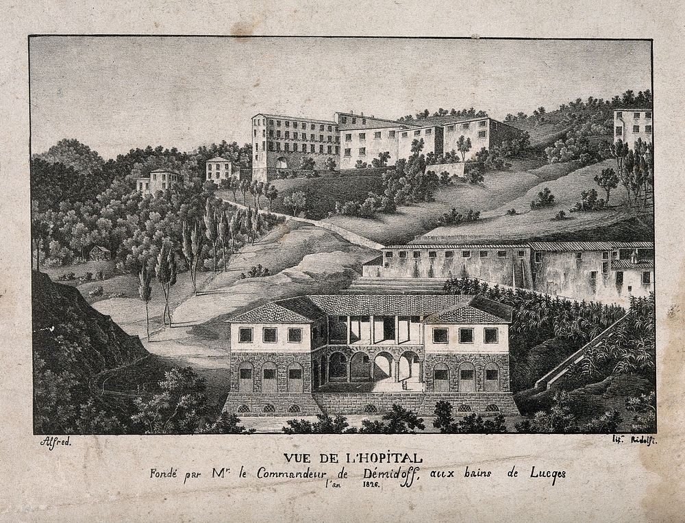 The Demidoff hospital, Lucca, in the foreground, with other buildings beyond. Lithograph by Ridolfi after Alfred.