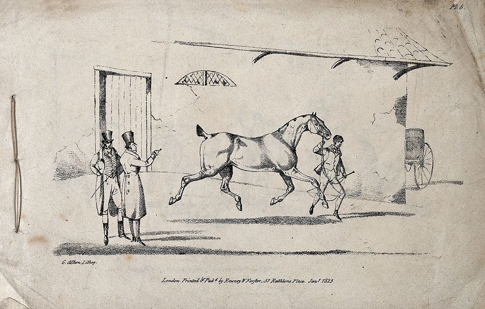 Two gentlemen are watching on while a groom is running along with a horse in a courtyard, holding it by its reins.…