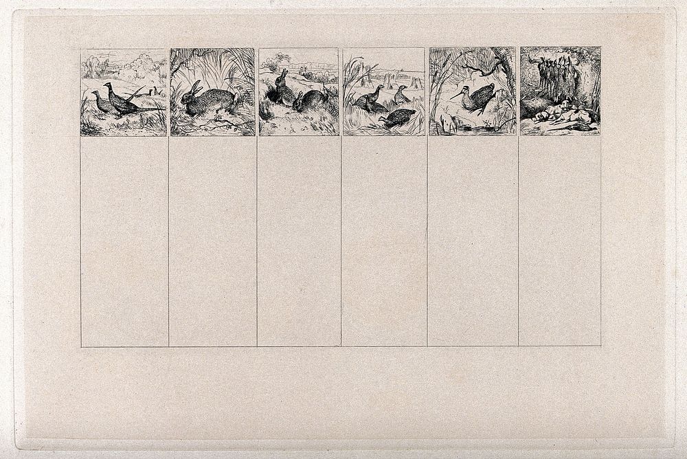 Game and hunting, six separate images: two pheasants; a hare; two rabbits; four grouse ; a snipe ; two dogs guard a brace of…