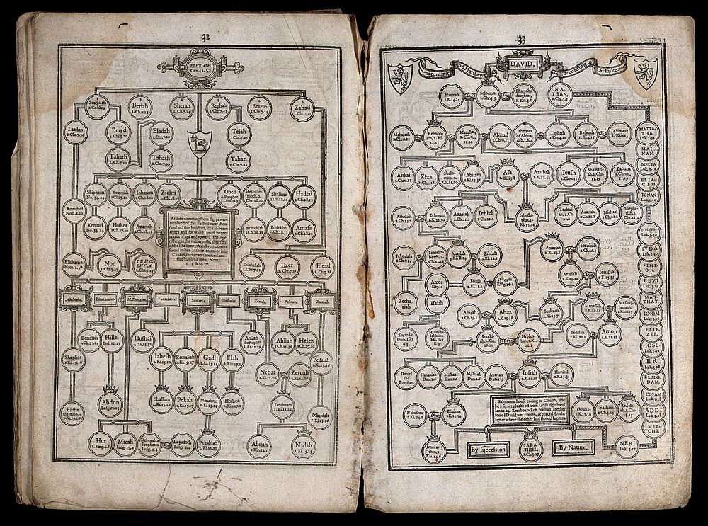 Genealogical tables of Ephraim and David. Etching, c. 1700.