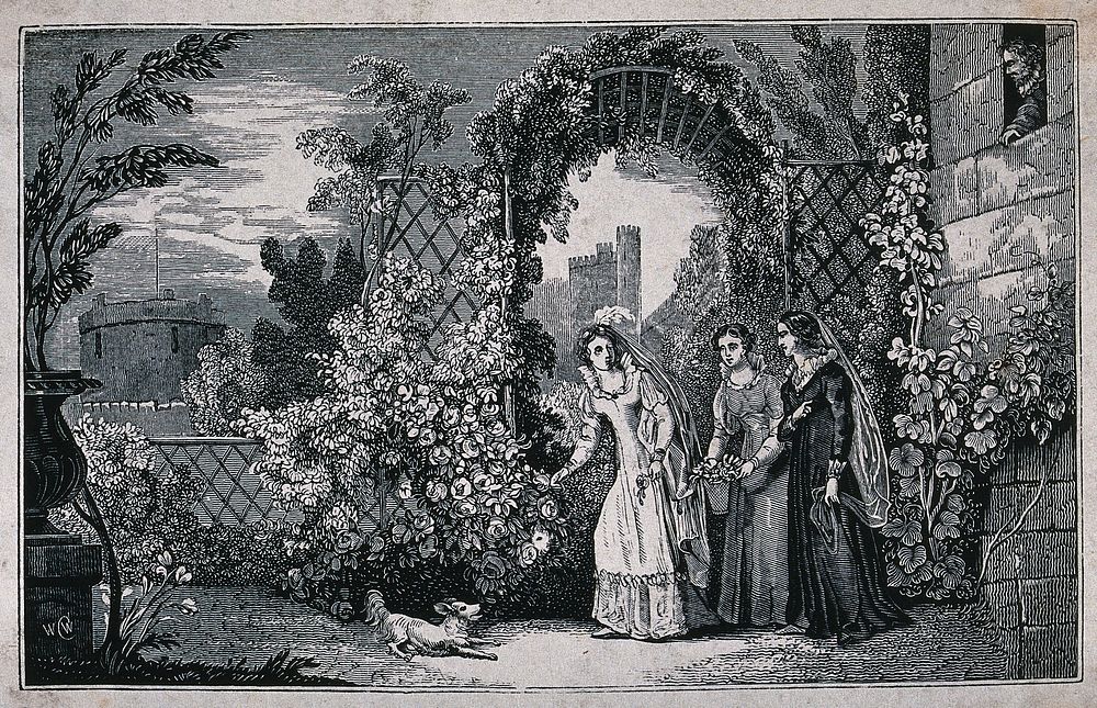 A man watches from a window as three young women walk through a garden, a dog is barking at their feet. Wood engraving by…