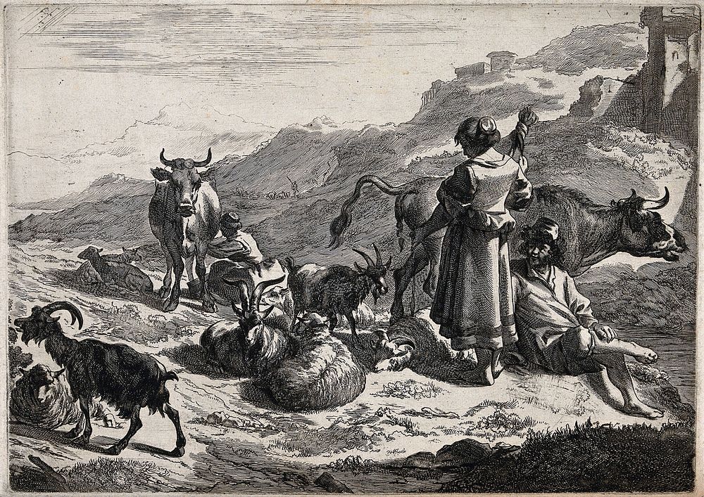 A woman spinning wool directly of a sheep lying on the ground while another woman milks a cow in the background. Etching.