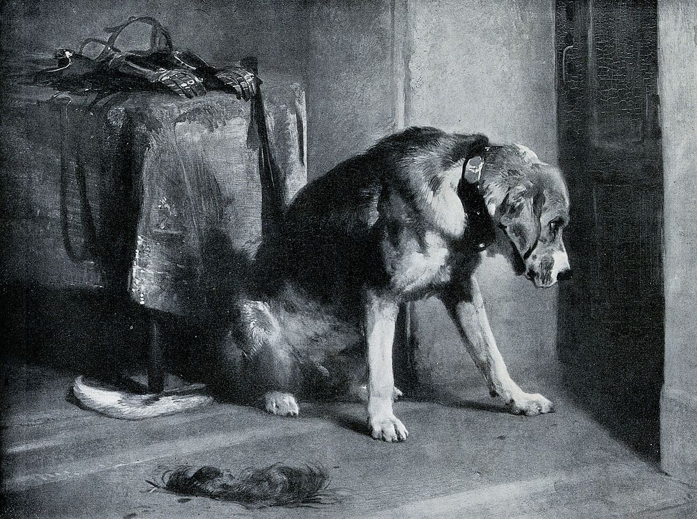 A bloodhound with a heavy collar is looking intently towards a heavy door. Half tone after an oil painting by E. H. Landseer.