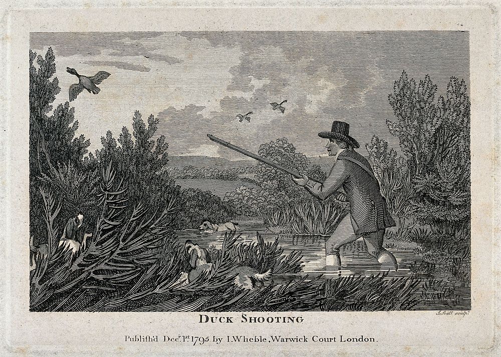 A man and his dogs wade through a shallow lake trying to shoot ducks. Wood engraving by J. Scott.