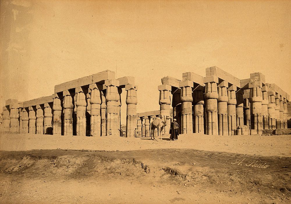 Egypt (Luxor): a colonnade; a man with a camel in the foreground. Photograph by A. Beato, ca. 1870.