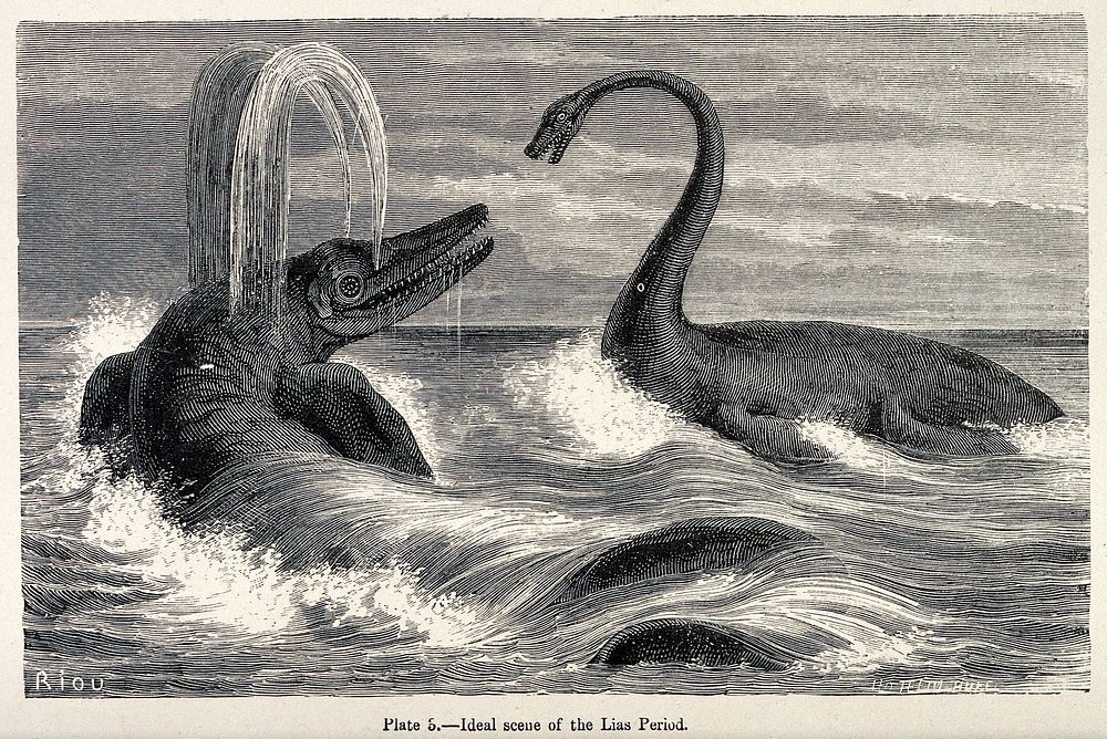 An ideal scene of the Lias period with two sauropods in the sea. Wood engraving by Riou.
