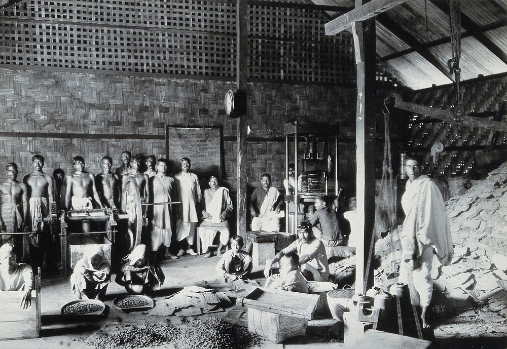 Chaulmoogra oil factory of Prasana Kumar Sen, Chittagong. Photograph by J.F. Rock, 1921.