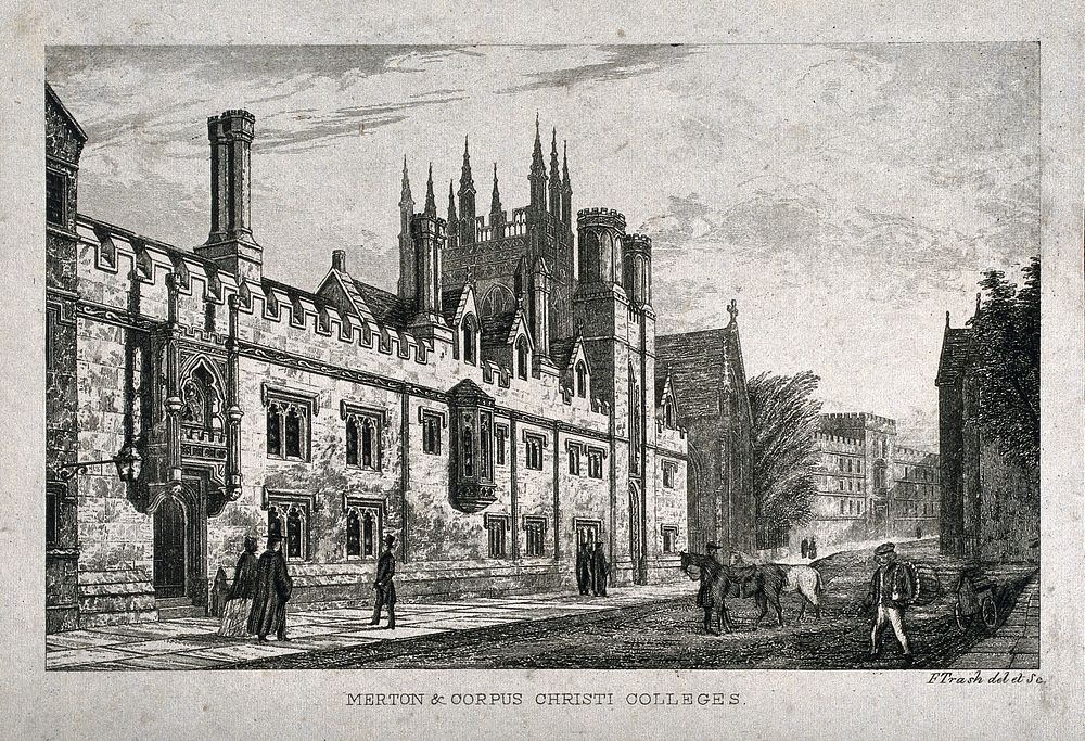 Corpus Christi College and Merton College, Oxford. Etching by F. Trash after himself.
