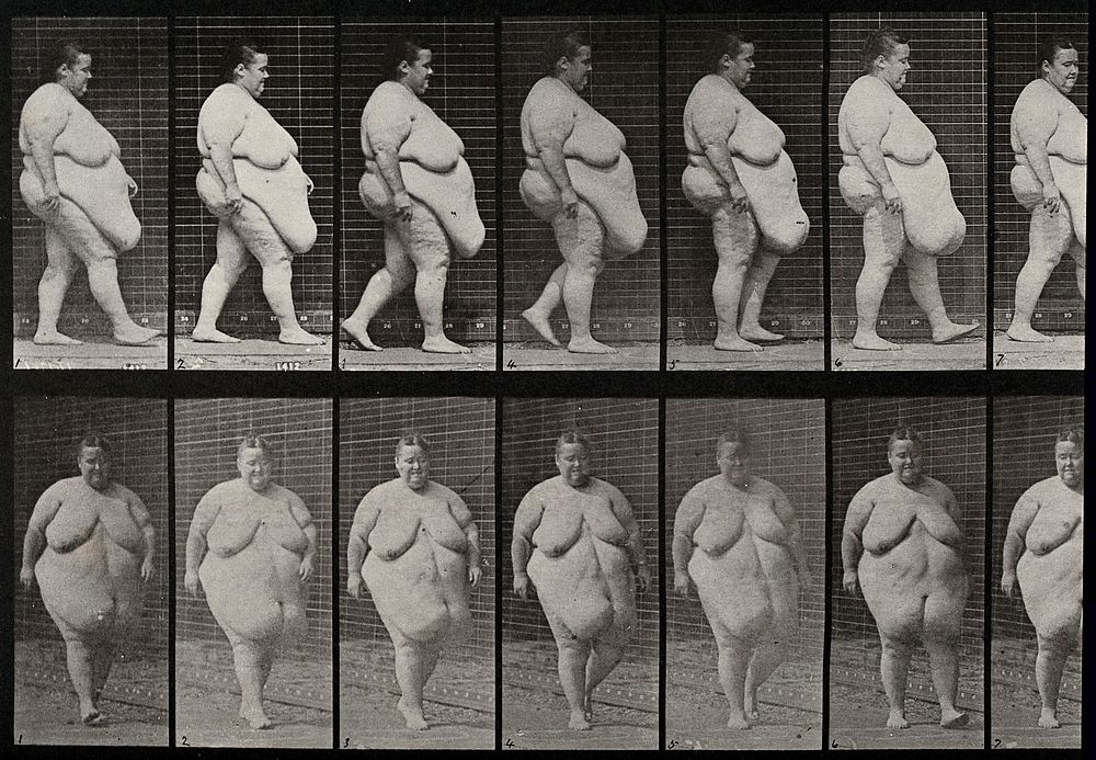 An obese woman walking. Collotype after Eadweard Muybridge, 1887.