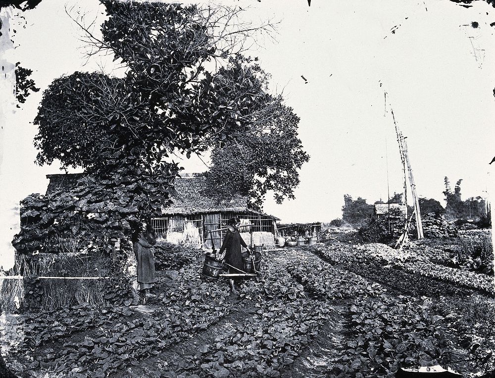 Cochin China [Vietnam]. Photograph, 1981, from a negative by John Thomson, 1867.