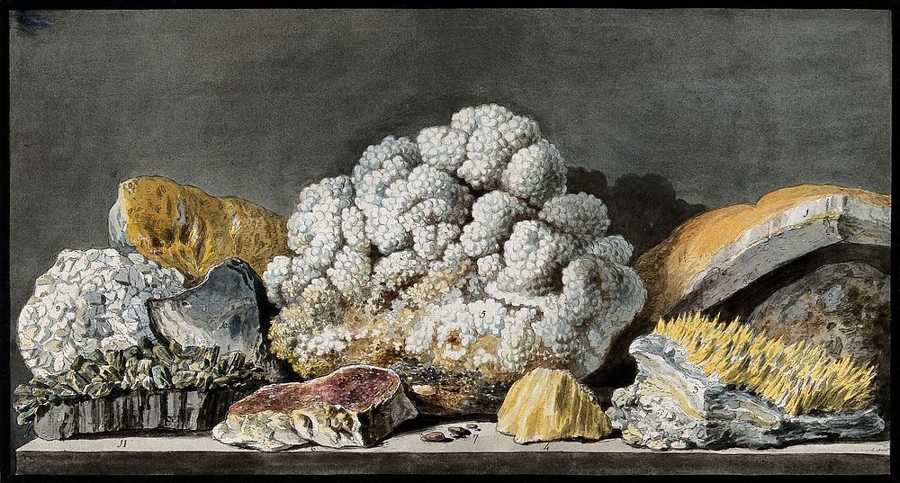 Pieces of volcanic minerals from Solfatara. Coloured etching by Pietro Fabris, 1776.