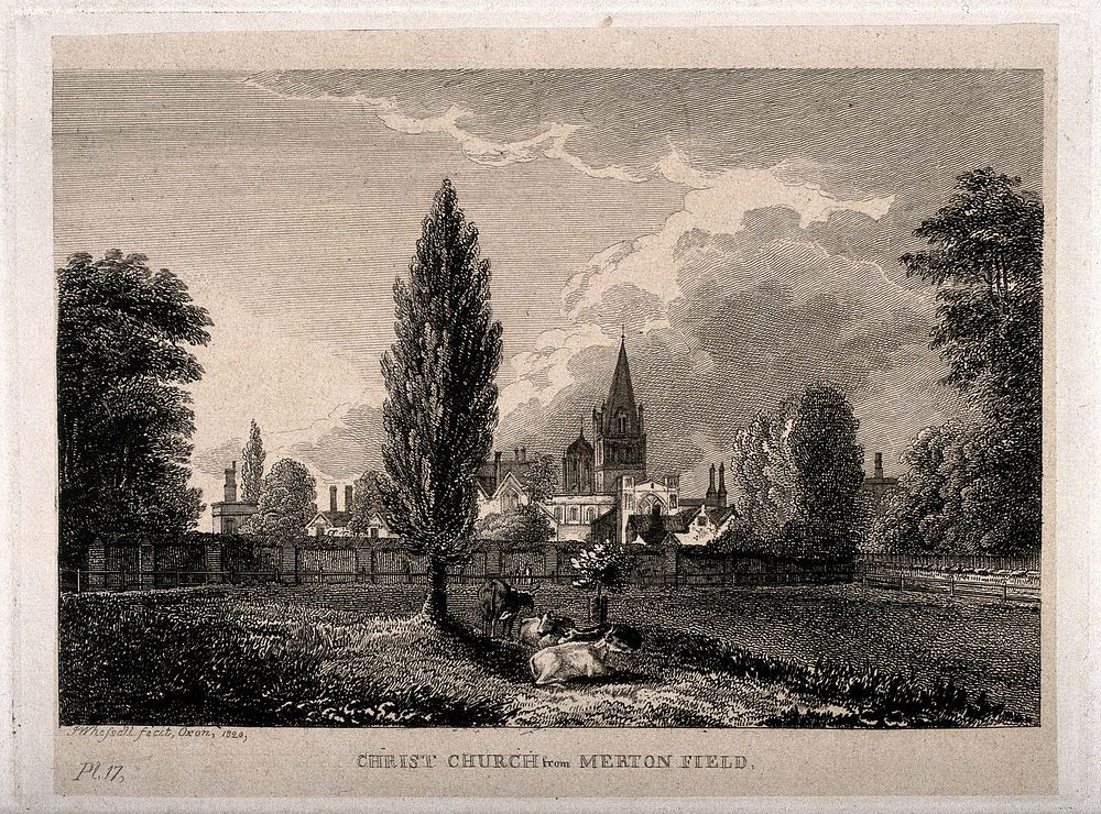 Christ Church, Oxford: from Merton field. Etching by J. Whessell, 1820.