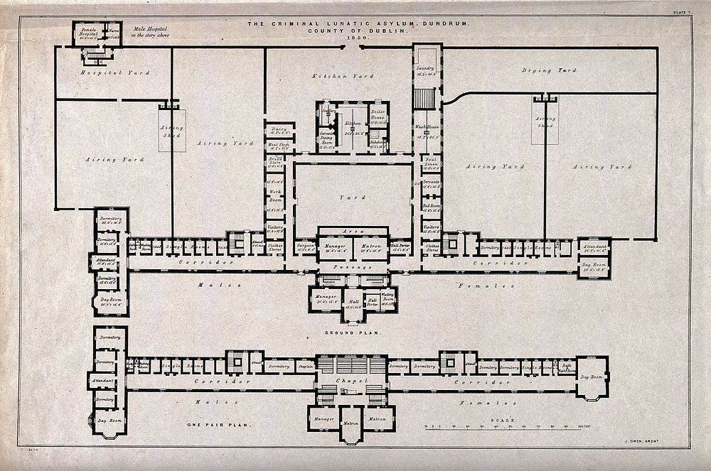 The floor plan with scale of the Criminal Lunatic Asylum, Dundrum, Dublin, Ireland. Transfer lithograph by J.R. Jobbins…