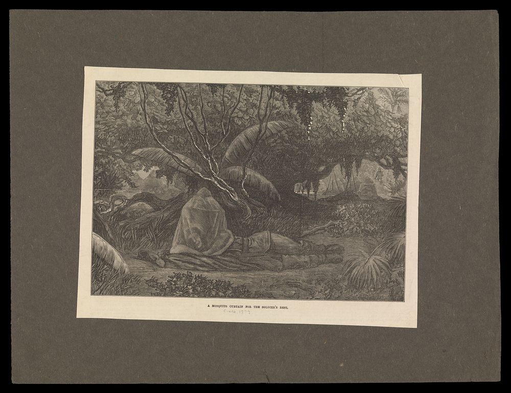 Ashanti War, Ghana, 1873: a British soldier resting beneath a mosquito net in a tropical landscape. Wood engraving, 1873.