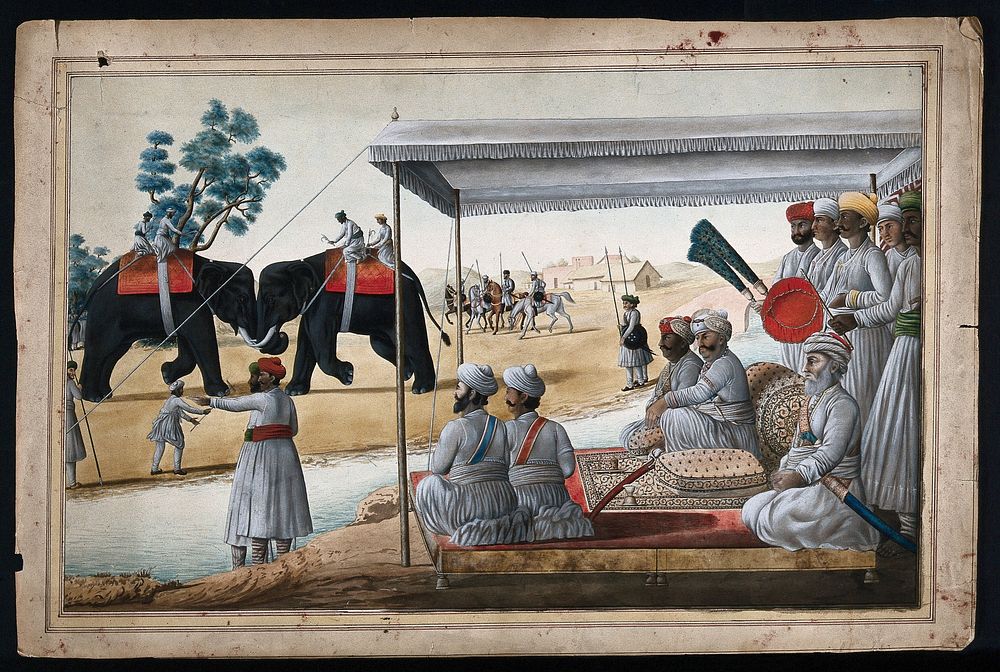A Nawab and his guest watching an elephant fight. Gouache painting by an Indian painter.