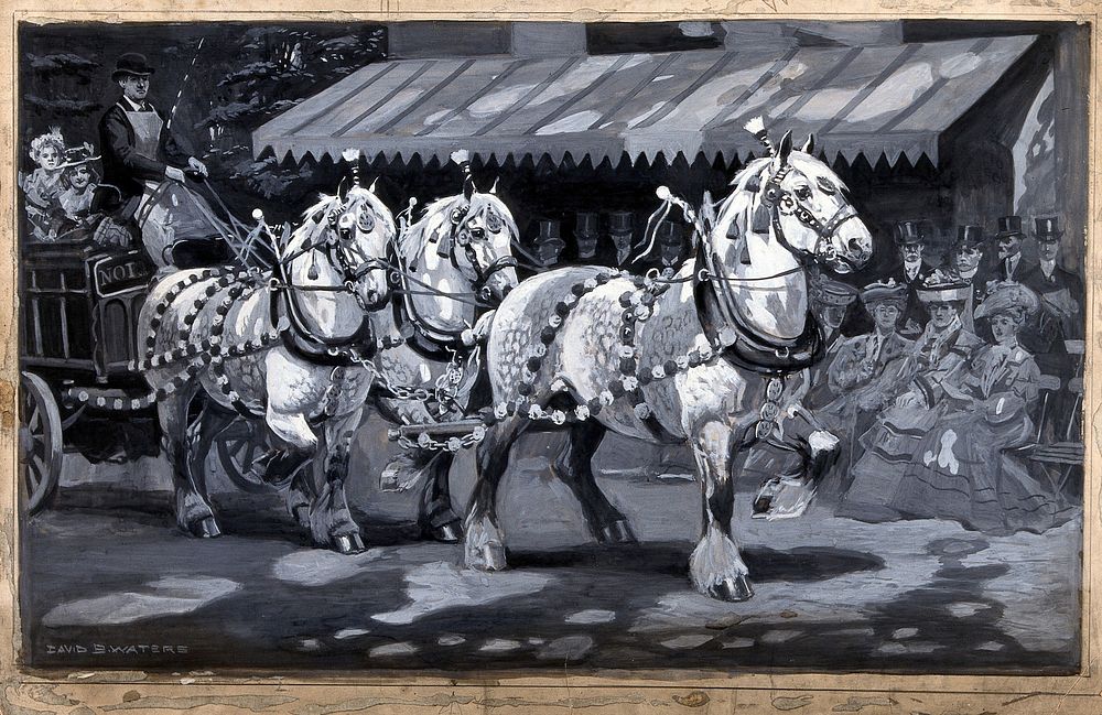 A coach drawn by three horses in ornate harness past a group of elegantly dressed onlookers seated beneath a canvas awning.…