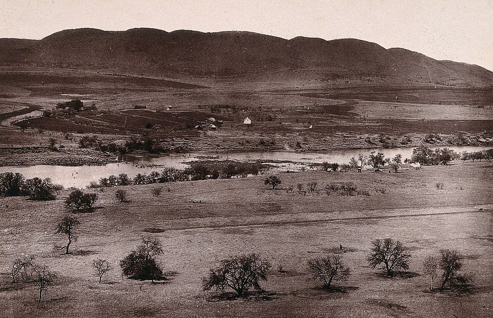 Vaal River, South Africa: part of the river near Potchefstroom. Woodburytype, 1888, after a photograph by Robert Harris.