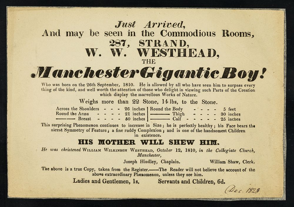 Just arrived, and may be seen in the commodious rooms, 287, Strand : W.W. Westhead, the Manchester Gigantic Boy! Who was…