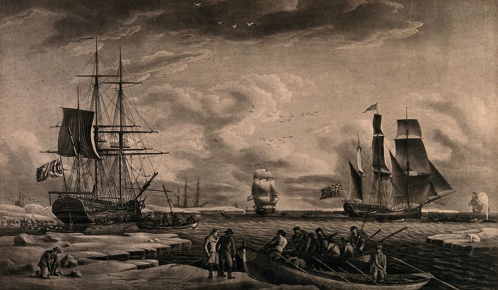 Whaling: sailors arriving at Greenland to kill whales, their ships being out at sea. Aquatint by R. Dodd, 1789.