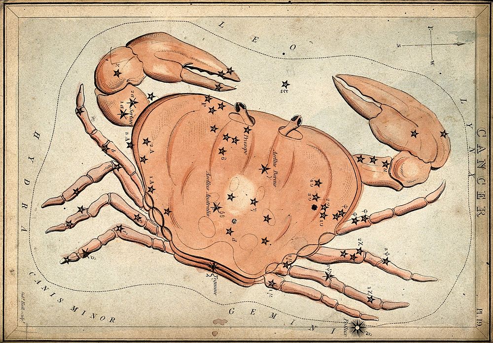 Astrology: signs of the zodiac, Cancer. Coloured engraving by S. Hall.