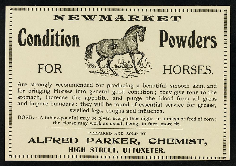 Newmarket condition powders for horses / prepared and sold by Alfred Parker.