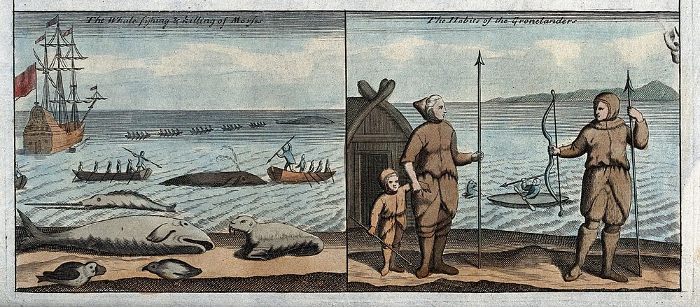 Greenland: fishermen spearing whales from the safety of their boats; right, whale fisher in their attire. Coloured etching.