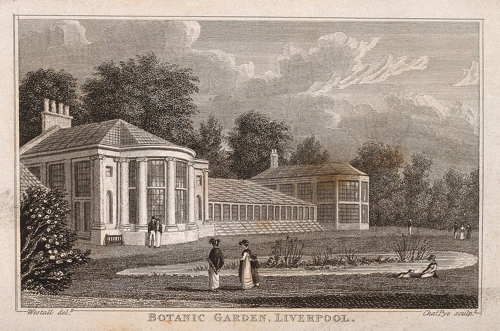 Botanic Gardens, Liverpool, Merseyside. Line engraving by C. Pye after W. Westall.