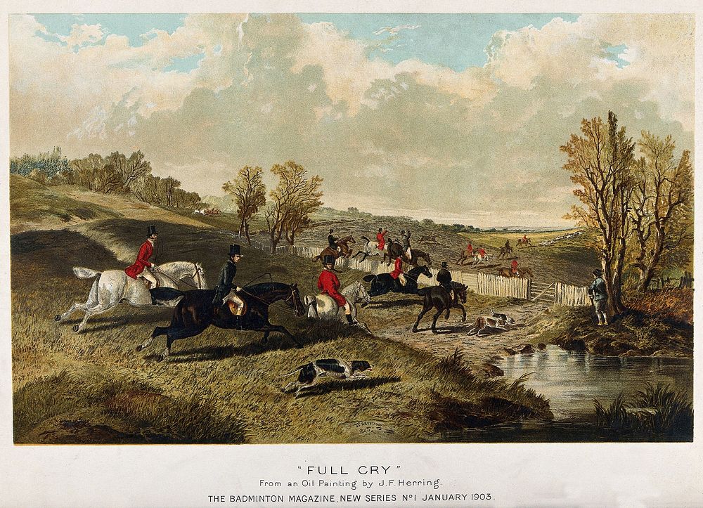 A hunting group jumping over fences and obstacles to follow their hounds through a valley. Chromolithograph after a painting…