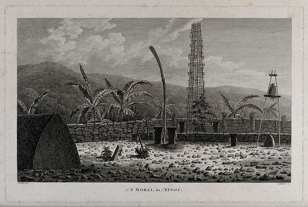 A morai, place of burial and worship, in Atooi (Kauai); encountered by Captain Cook on his third voyage (1777-1780).…