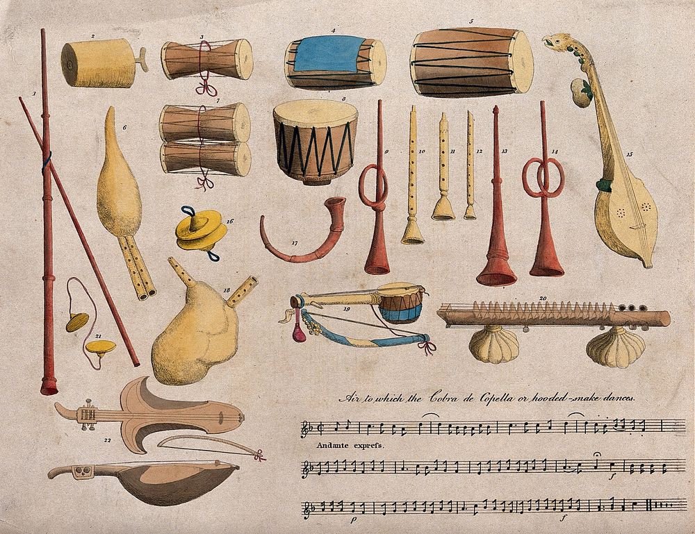 Indian musical instruments; percussion, string and wind, and a musical score for a snake-charming melody. Coloured etching.