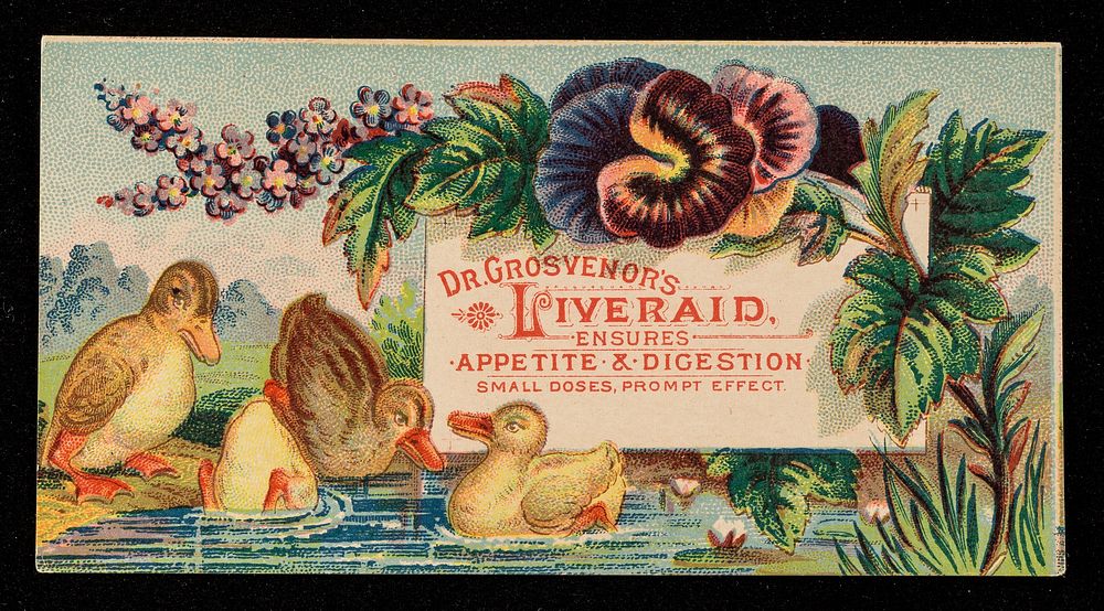 Dr. Grosvenor's Liveraid : ensures appetite & digestion : small doses, prompt effect.