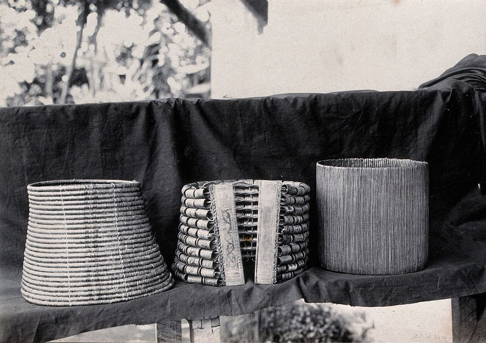 Sarawak: three corsets worn by Sea Dayak and Land Dayak women. Photograph.