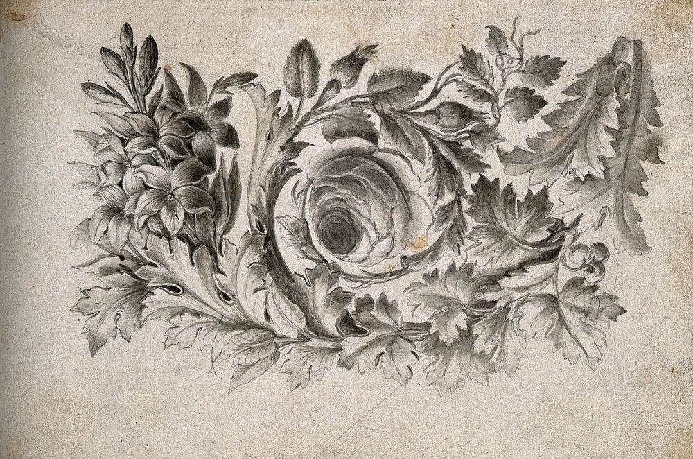 Foliated decoration for a frontispiece to Lavater's 'Essays on physiognomy'. Watercolour painting, c. 1793.
