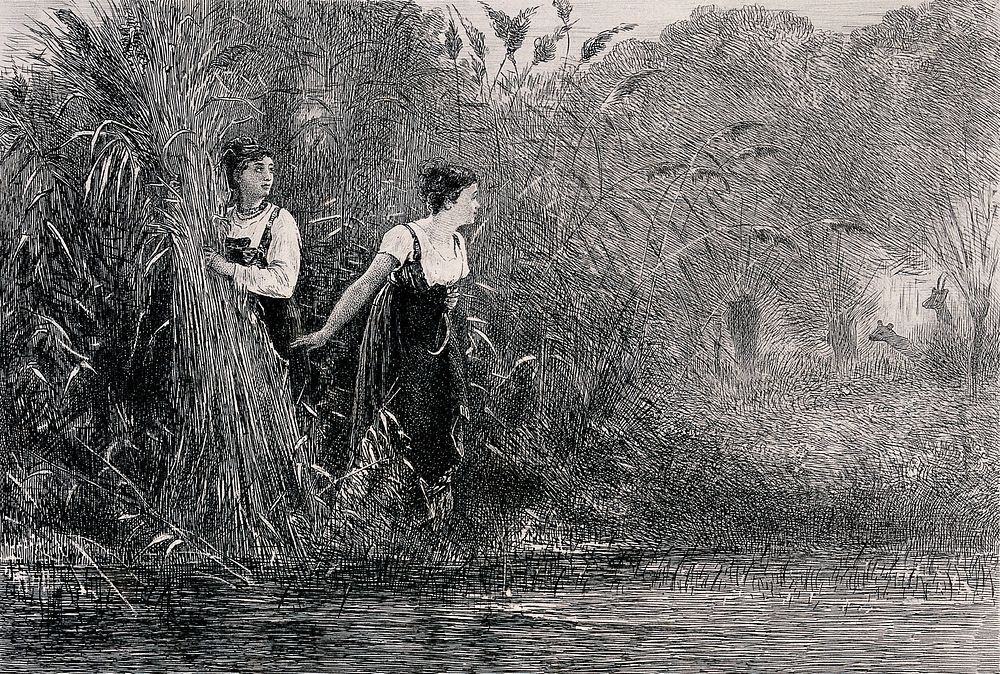 Two young women gathering reeds by the edge of some water, watching, and being watched by, two deer. Engraving by F.…