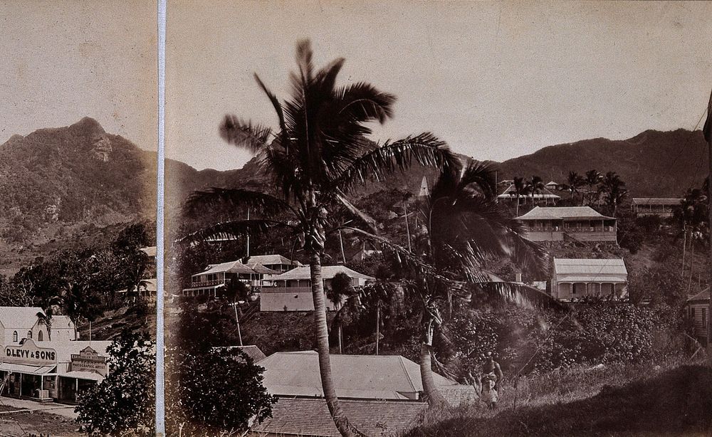 Levuka, Fiji: panoramic view: section three. Photograph, ca. 1880.