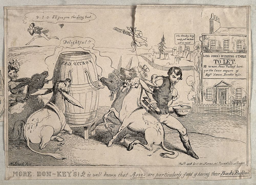 Four donkeys inhaling foetid gas and having their backs scrubbed with vitriol; representing John St. John Long's fatal…