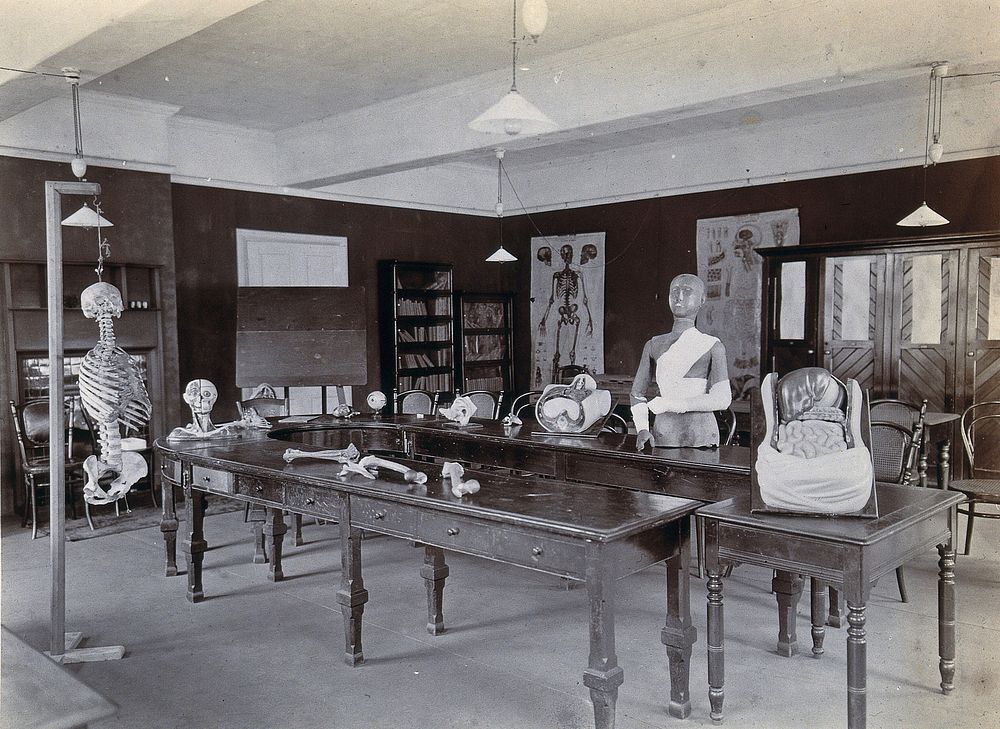 Johannesburg Hospital, South Africa: tables with anatomical models. Photograph, c. 1905.