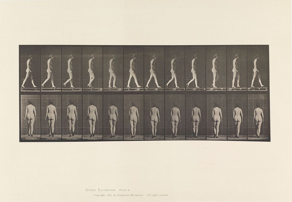 A naked woman walking. Collotype after Eadweard Muybridge, 1887.