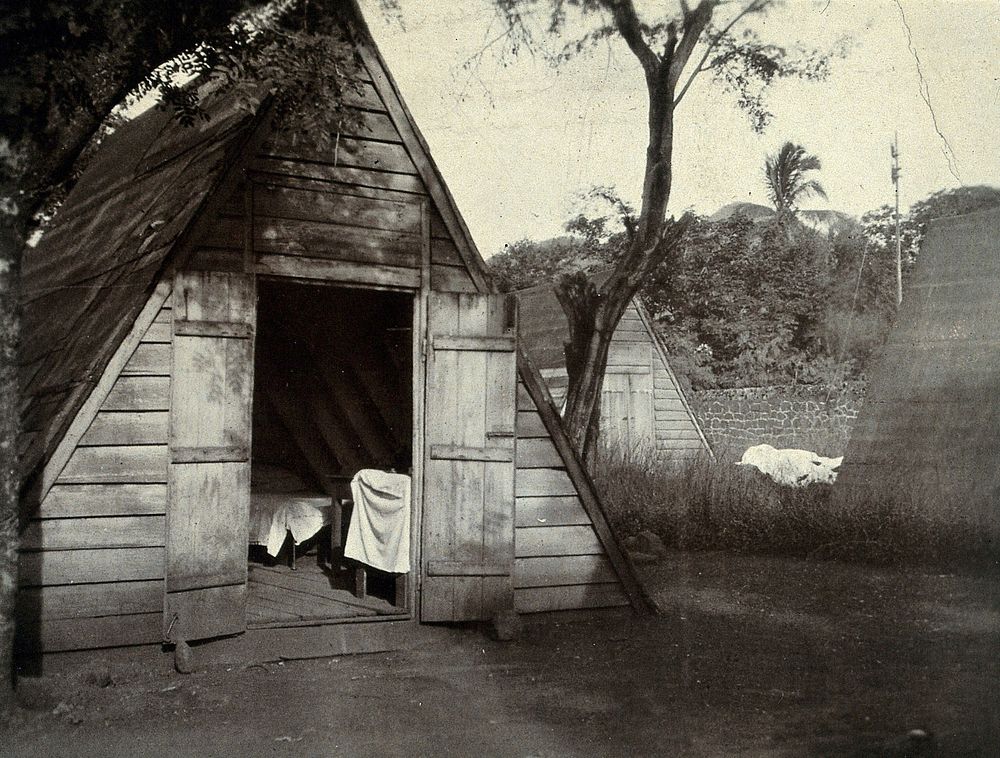 Mauritius: a wooden, triangular isolation hut for plague (and other infectious diseases) quarantine. Photograph, 1910/1930.