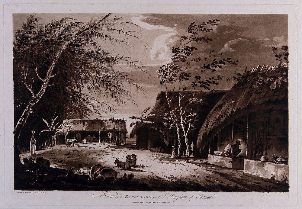 Farmyard, Bengal. Etching by William Hodges, 1786.