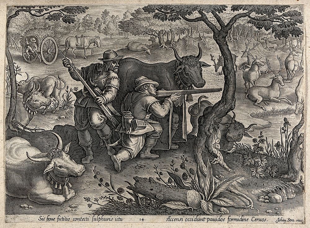 Huntsmen hiding behind cattle and horse carts to avoid being seen by the deer they are aiming at. Engraving by J. van der…