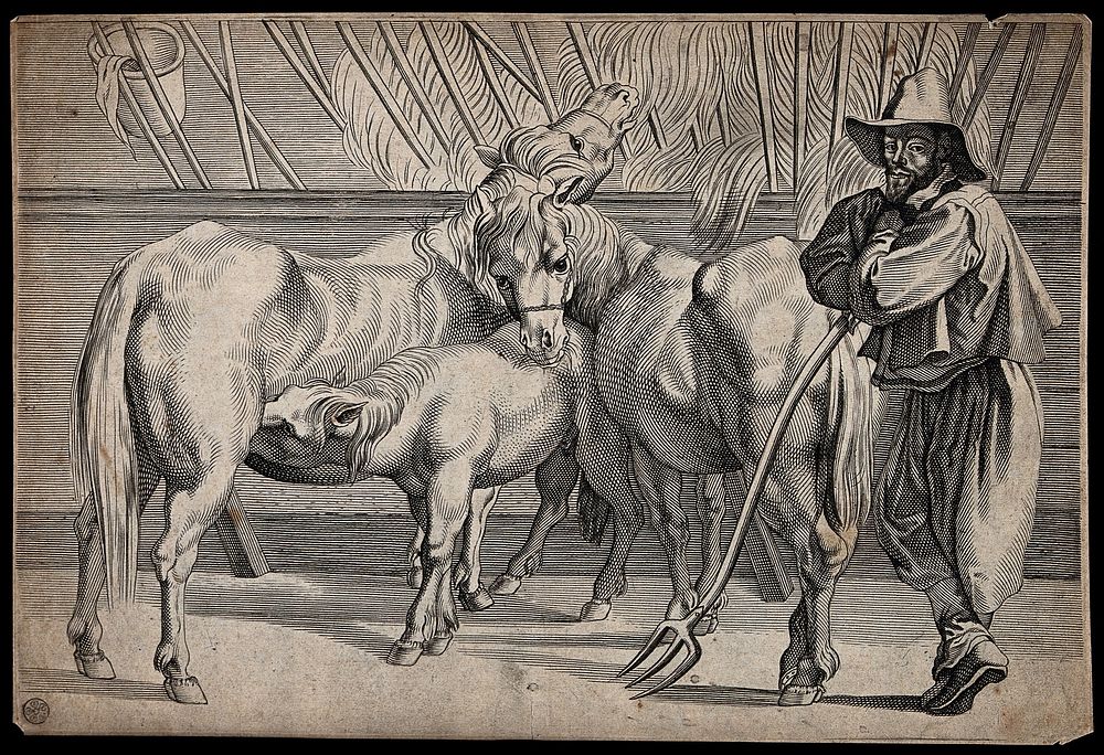 A stablemate with two horses and a suckling foal. Line engraving.