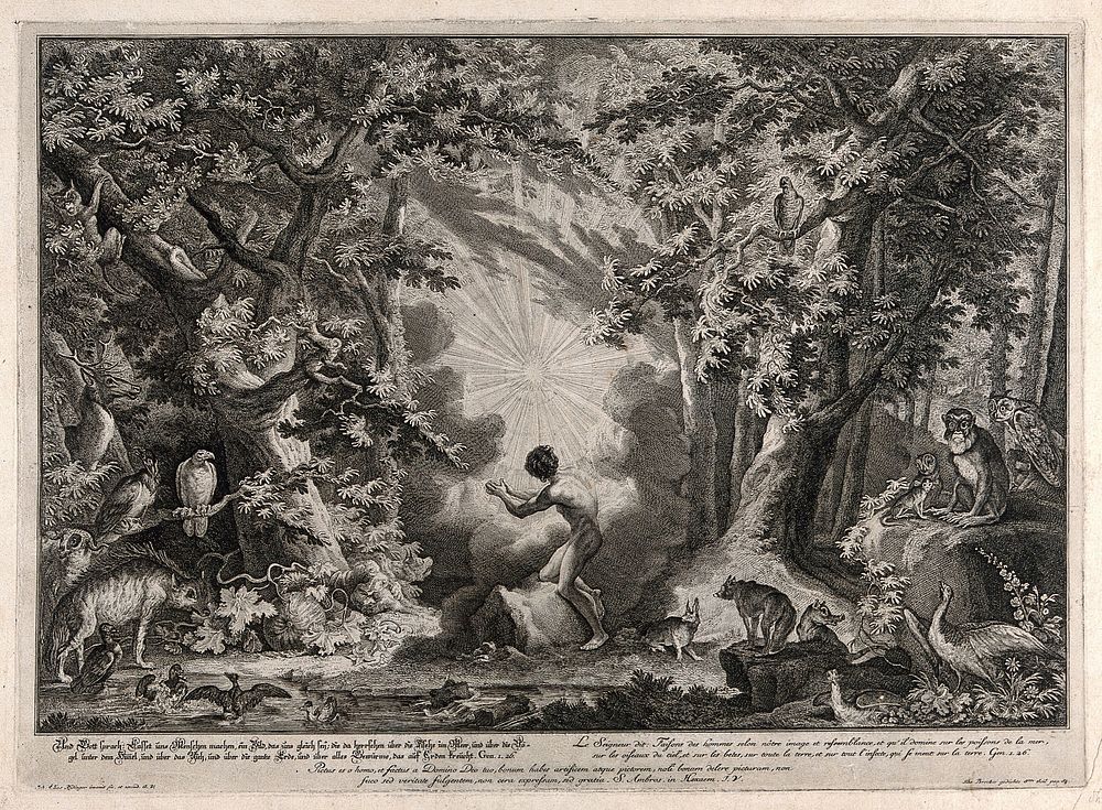 A blinding light descends on Eden in the creation of man and the animals. Etching by J.E. Ridinger after himself, c. 1750.