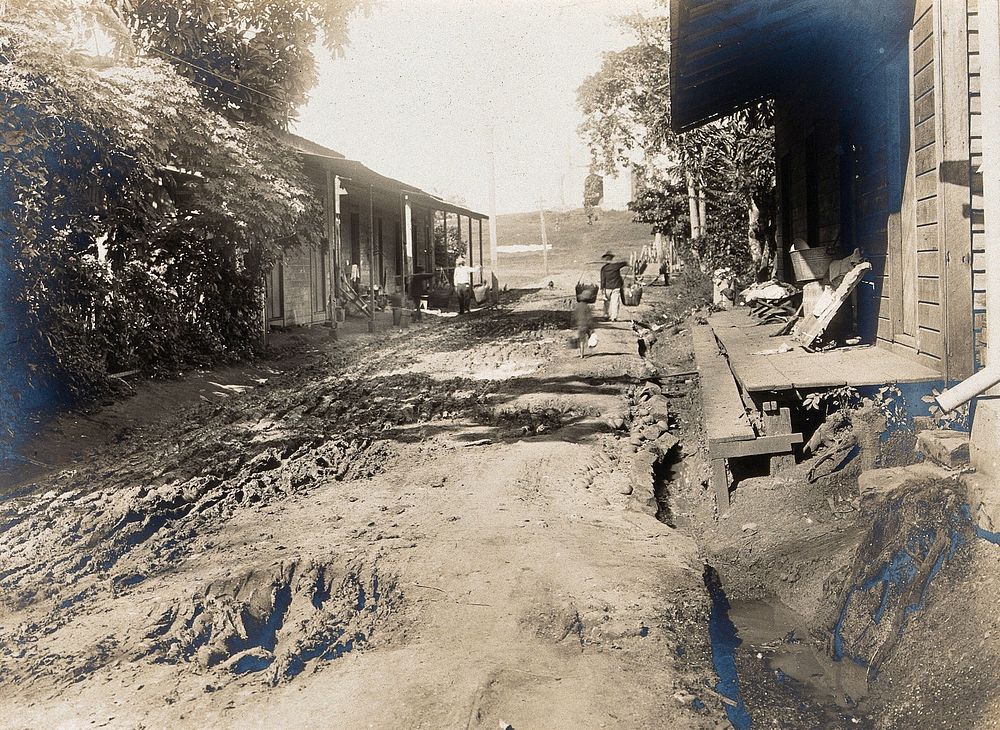 Open sewers alongside a mud road lined with wooden houses, Caledonia, Panama. Photograph, 1908.