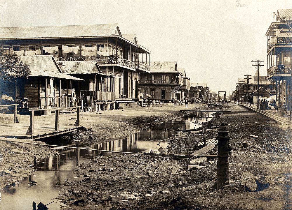 Colón, Panama, before the sanitary works that were implemented during the construction of the Panama Canal: a ditch runs…