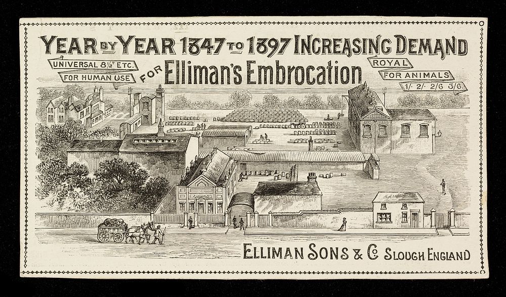 Year by year 1847 to 1897 increasing demand for Elliman's Embrocation.
