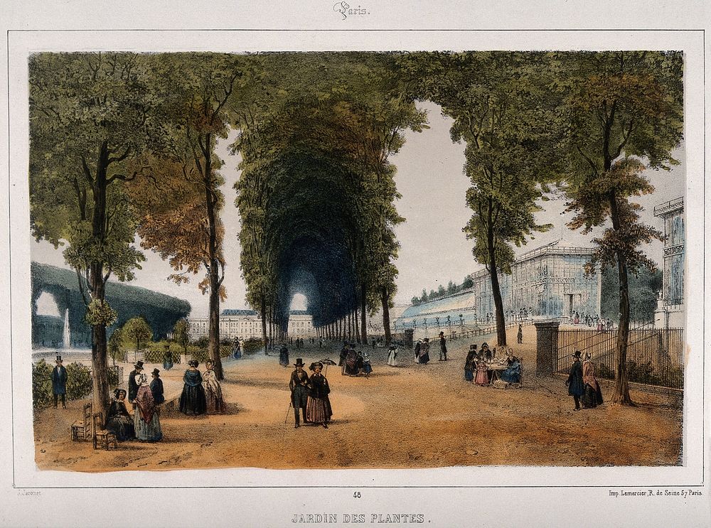Jardin des Plantes, Paris: figures strolling the grounds alongside the glasshouses. Coloured lithograph by J. Jacottet.